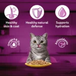 Whiskas Adult Chicken In Gravy Cat Wet Food 85 g - Image 6