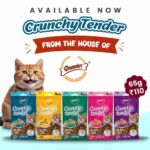 Gnawlers Crunchy And Tender Tasty Chicken Flavour For Cats 65g - Image 3