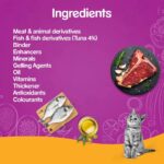 Whiskas Salmon in Gravy Wet Adult Cat (+1 year) Food - 85gm - Image 4