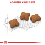 Royal Canin Kitten Sterilised Dry Cat Food - Image 6