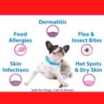Petkin Itch Pet Wipes - 30 Wipes - Image 5