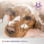 Hydra Moistrurizing Conditioner, 290 ml - Image 2