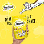 Temptations Tasty Chicken Cat Treat - 85g - Image 6