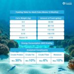 Top tail Ocean Fish Dry Food for Adult Cat - Image 6