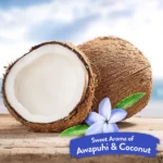 TropiClean Awapuhi and Coconut Pet Shampoo, 355 ml - Image 4