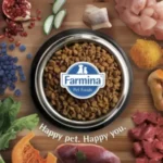 Matisse Dry Kitten Food - Image 5