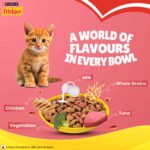 Purina Friskies Kitten Discoveries Tuna Chicken Milk Vegetables & Whole Grain Flavours Dry Food - Image 5