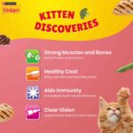Purina Friskies Kitten Discoveries Tuna Chicken Milk Vegetables & Whole Grain Flavours Dry Food - Image 4