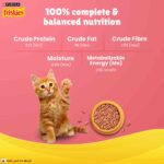 Purina Friskies Kitten Discoveries Tuna Chicken Milk Vegetables & Whole Grain Flavours Dry Food - Image 2