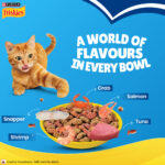 Purina Friskies Seafood Sensations Tuna, Salmon, Whitefish, Cran & Shrimp Adult Dry Cat Food - Image 10