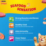 Purina Friskies Seafood Sensations Tuna, Salmon, Whitefish, Cran & Shrimp Adult Dry Cat Food - Image 11