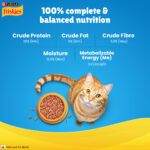 Purina Friskies Seafood Sensations Tuna, Salmon, Whitefish, Cran & Shrimp Adult Dry Cat Food - Image 2