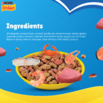 Purina Friskies Seafood Sensations Tuna, Salmon, Whitefish, Cran & Shrimp Adult Dry Cat Food - Image 3