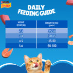 Purina Friskies Seafood Sensations Tuna, Salmon, Whitefish, Cran & Shrimp Adult Dry Cat Food - Image 4