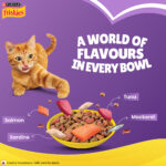 Purina Friskies Surfin' Favourites Mackerel, Tuna, Salmon & Sardine Adult Dry Cat Food - Image 5