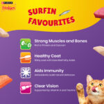 Purina Friskies Surfin' Favourites Mackerel, Tuna, Salmon & Sardine Adult Dry Cat Food - Image 6