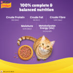 Purina Friskies Surfin' Favourites Mackerel, Tuna, Salmon & Sardine Adult Dry Cat Food - Image 7