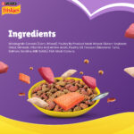 Purina Friskies Surfin' Favourites Mackerel, Tuna, Salmon & Sardine Adult Dry Cat Food - Image 8