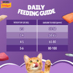 Purina Friskies Surfin' Favourites Mackerel, Tuna, Salmon & Sardine Adult Dry Cat Food - Image 9