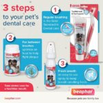 Beaphar Double Action Cat Tooth Paste - 100g - Image 3