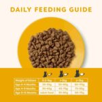 Applaws Complete Natural and Grain Free Dry Cat Food Kitten Chicken, 400g - Image 4