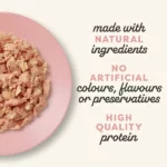 Applaws Tuna With Salmon In Jelly Wet Cat Food - 70 gm - Image 3