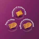 Whiskas Mackerel Junior Cat Dry Food, 450 g - Image 7