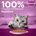 Whiskas Adult Salmon with Gravy Cat Food 85g - Image 10