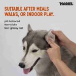 Pawpaya Antibacterial wipes for Dogs and Cats, 60 Wipes - Image 5