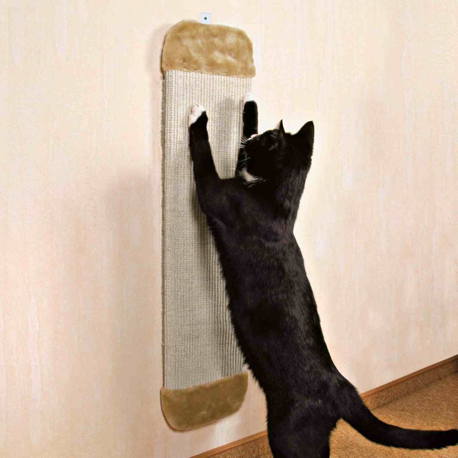 Beige.jpeg Trixie Scratching Board with Sisal Rug/Plush and Catnip for Cats XL (18x78cm, Natural/Beige) - Image 1