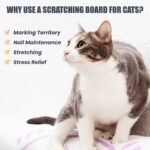 Trixie Scratching Board On A Roll Sisal Rug/Plush for Cats (15x35 cm, Natural/Black) - Image 5