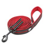 Barkbutler Truelove Classic Leash, Red - Image 2