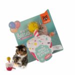FOFOS Birthday Cake Toy for Cats - Image 2