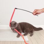 FOFOS Interactive Wand Toy for Cats - Image 2