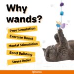 FOFOS Wand Toy Replaceable-Let's Fly Together Toy for Cats - Image 3