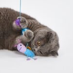 FOFOS Wand Toy Replaceable-Let's Fly Together Toy for Cats - Image 2