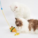 FOFOS Wand Toy Replaceable-Meow Fast Food Toy for Cats - Image 3