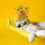 FOFOS Birthday Crown Catnip Toy for Cats - Image 2