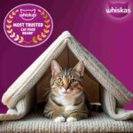 Whiskas Ocean Fish Flavour Adult Cat Dry Food, 480 g - Image 7