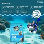 Top tail Kitten Ocean Fish Dry Food for Cats - Image 4