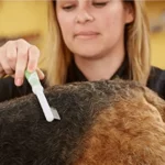 Andis Flea Remover Pet Comb - Lime Green - Image 2