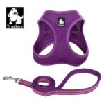 Truelove Mesh Harness and Leash Set for Cats and Dogs - Purple, L