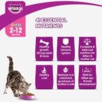 Whiskas Junior Ocean Fish Milky Dry Food for Cats, 50g - Image 6