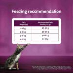 Whiskas Ocean Fish Flavour Adult Cat Dry Food, 480 g - Image 3
