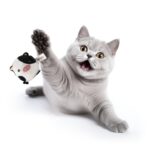 FOFOS Farm Animal Ball Box Toy for Cats
