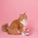 FOFOS Dreamland Tomacoes Cat Toy - Image 5