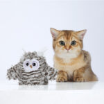 FOFOS Flapping Owl Chirping Interactive Toy for Cats
