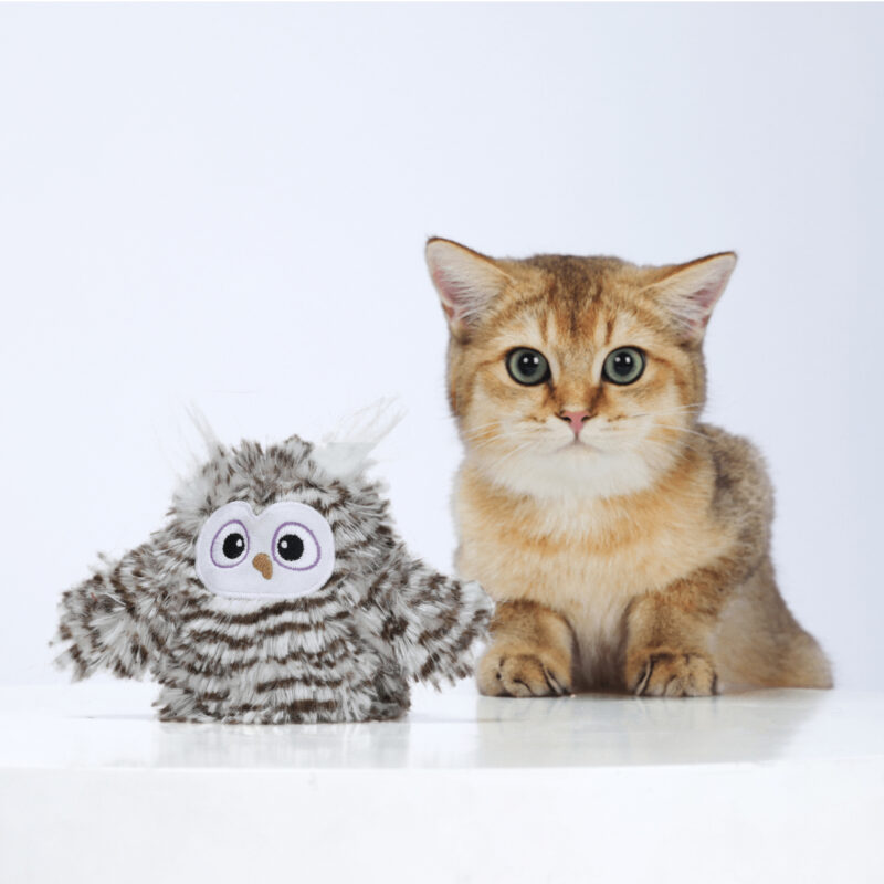 FOFOS Flapping Owl Chirping Interactive Toy for Cats