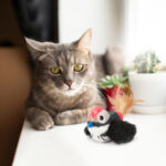 FOFOS Bird with Catnip Balls Interactive Toy for Cats (Black) - Image 3