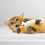 FOFOS Eagle with Catnip Toy for Cats